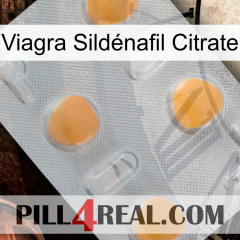 Viagra Sildénafil Citrate 24